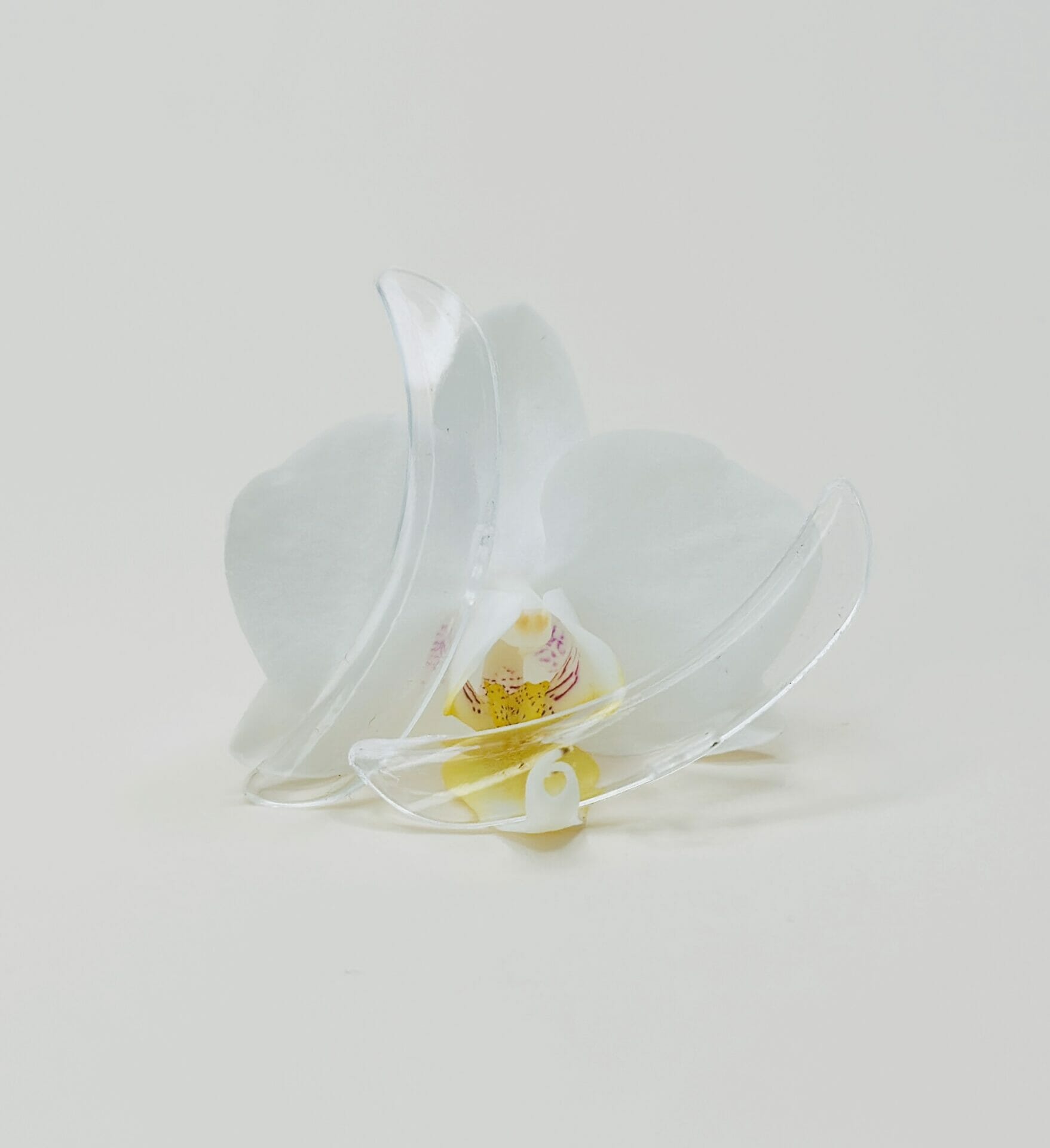 Silikoonist fikseerijad Clearn1 Silikoonist fikseerijad Clear